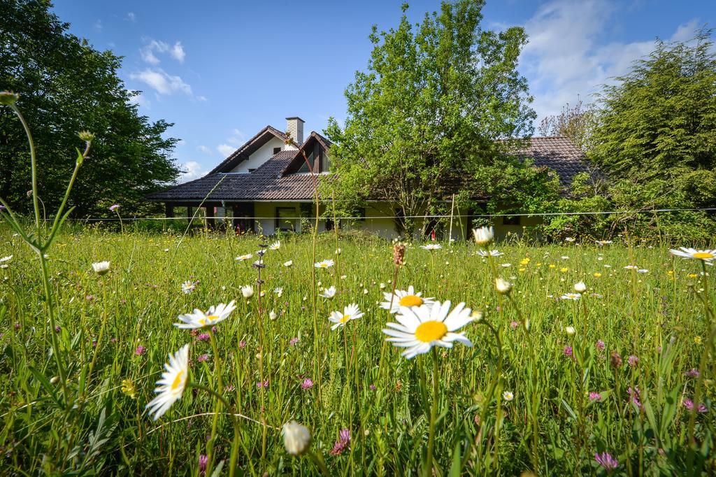 Apartments Jaka Dolenjske Toplice Luaran gambar