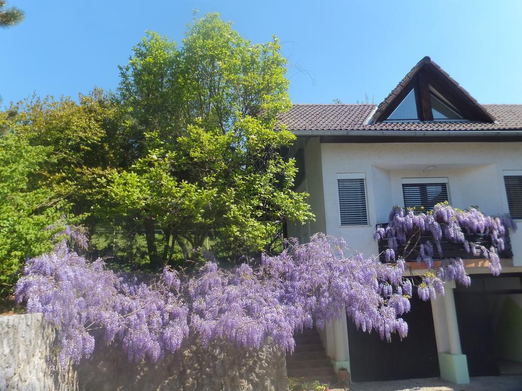 Apartments Jaka Dolenjske Toplice Luaran gambar